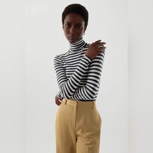 COS Merino Turtle Medium Stripe